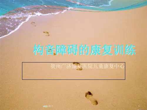 (汇总)构音障碍的康复训练.ppt
