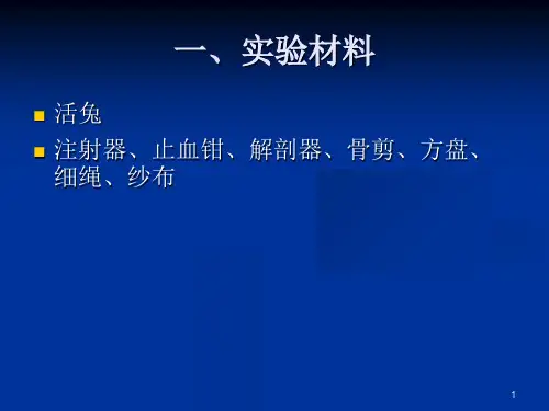家兔的形态和结构