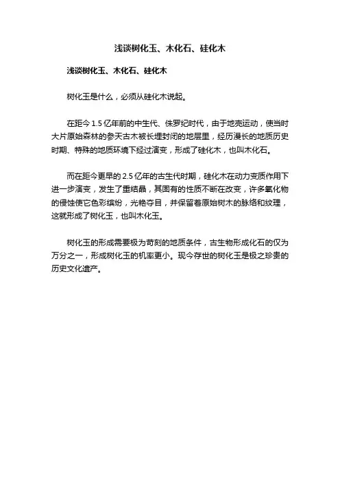 浅谈树化玉、木化石、硅化木