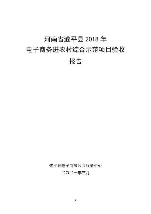 遂平县电子商务进农村综合示范项目验收报告(3)