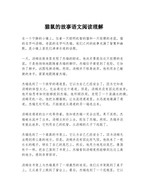 猫鼠的故事语文阅读理解