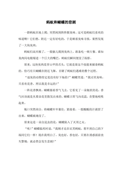 蚂蚁和蝴蝶的悲剧_寓言故事