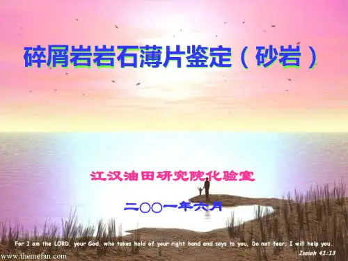 薄片鉴定培训
