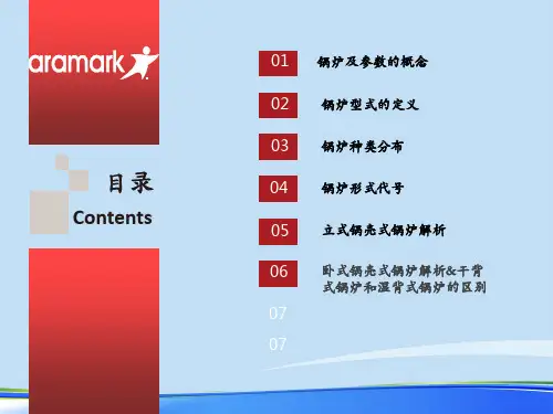 锅炉基础知识解析.完整版ppt资料