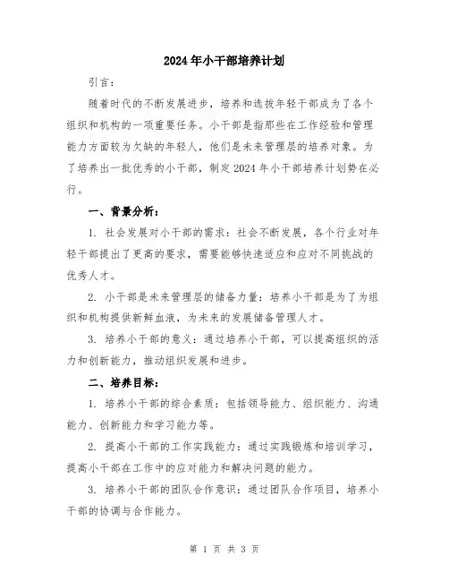 2024年小干部培养计划