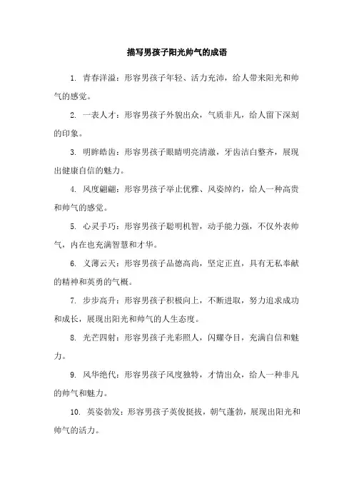 描写男孩子阳光帅气的成语