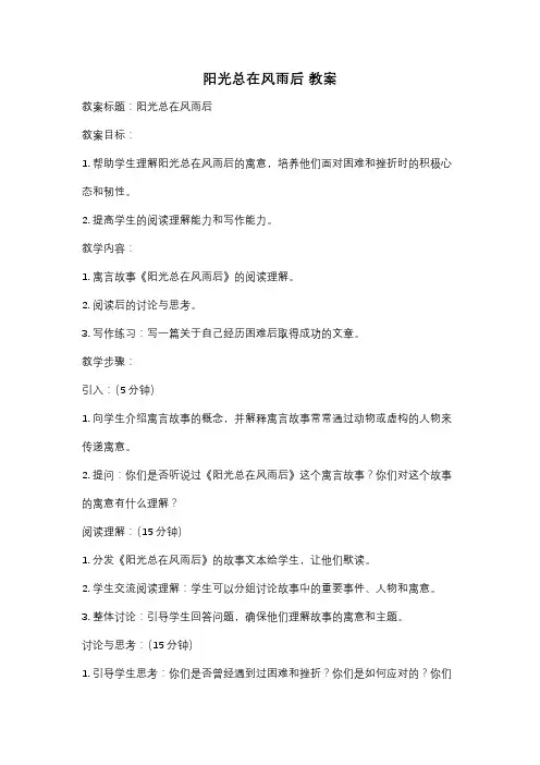 阳光总在风雨后 教案