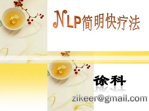 NLP简明快疗法-徐科