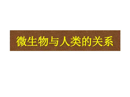 微生物与人类的关系