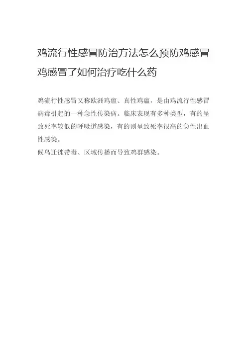鸡流行性感冒防治方法怎么预防鸡感冒鸡感冒了如何治疗吃什么药