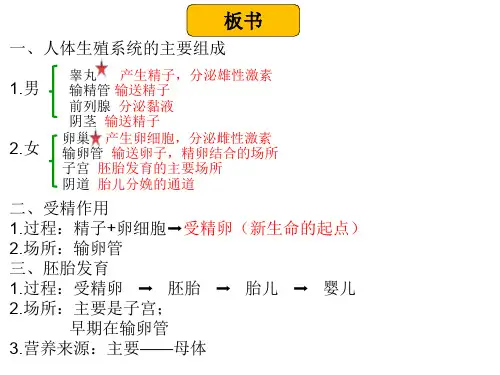 第一节精卵结合孕育新的生命课件苏教版生物七年级下册