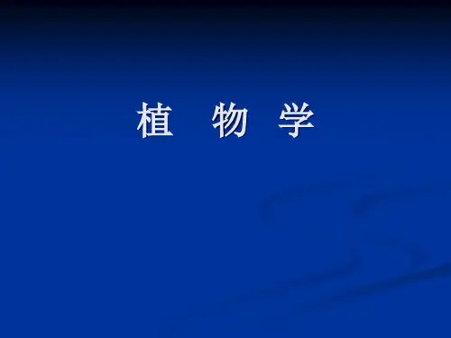 植物学第1章植物细胞