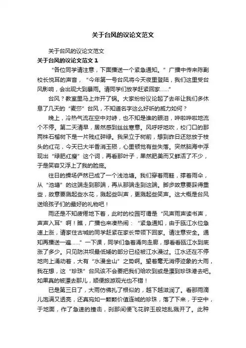 关于台风的议论文范文