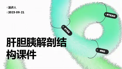 肝胆胰解剖结构课件
