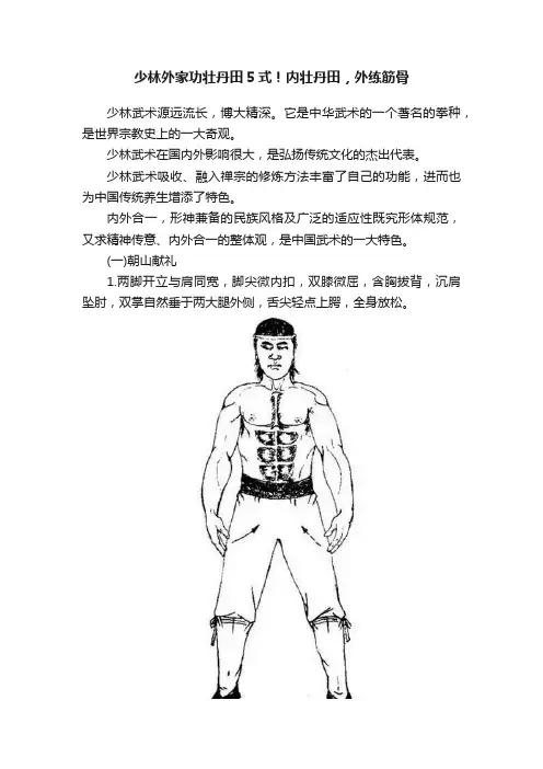 少林外家功壮丹田5式！内壮丹田，外练筋骨