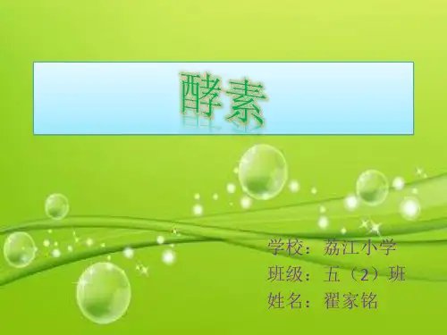 综合作业(酵素)