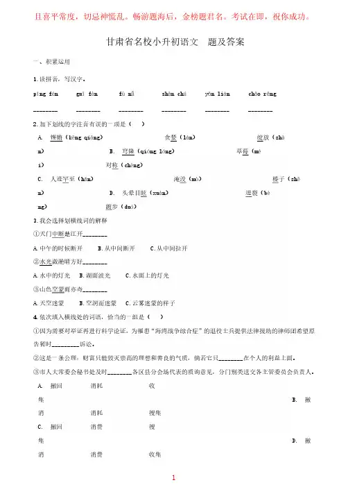 小升初语文试题试卷及答案 