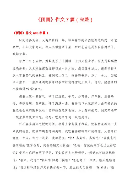 《团圆》作文7篇