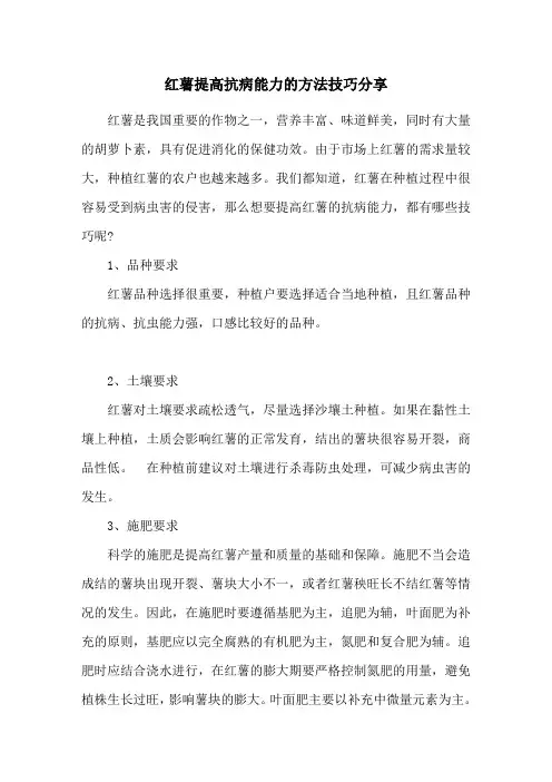 红薯提高抗病能力的方法技巧分享