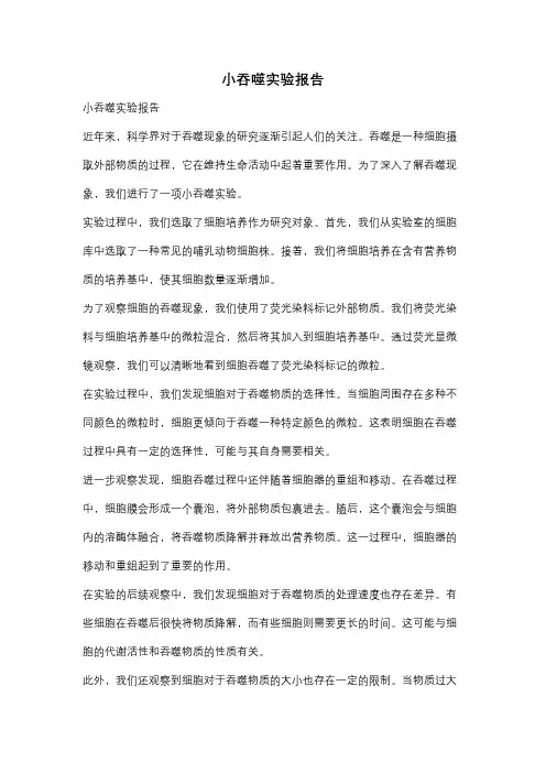 小吞噬实验报告