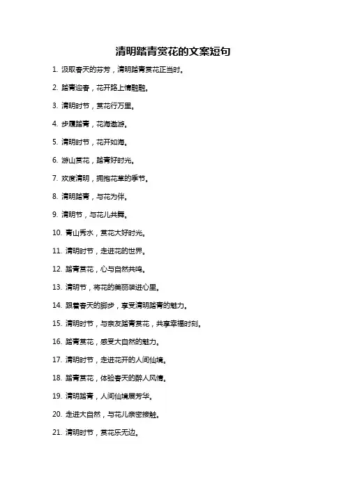 清明踏青赏花的文案短句