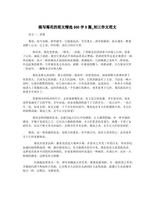 描写菊花的范文精选500字5篇_初三作文范文