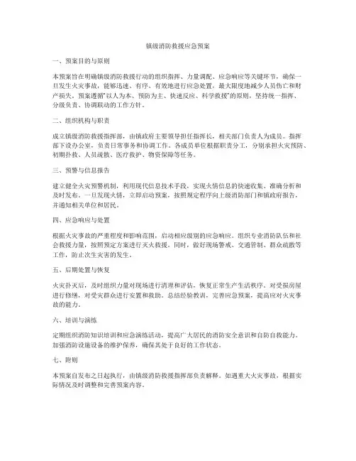 镇级消防救援应急预案