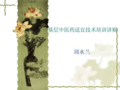 基层中医药适宜技术培训教材.pptx
