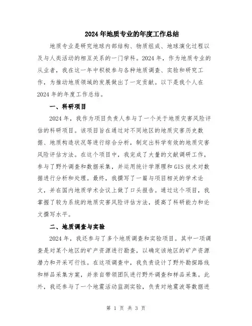 2024年地质专业的年度工作总结