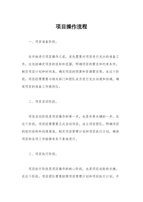 项目操作流程