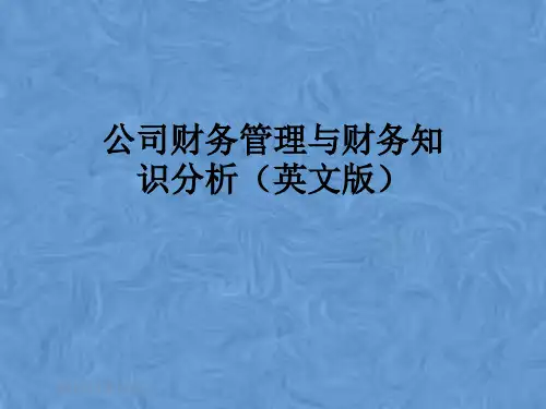 公司财务管理与财务知识分析(英文版)