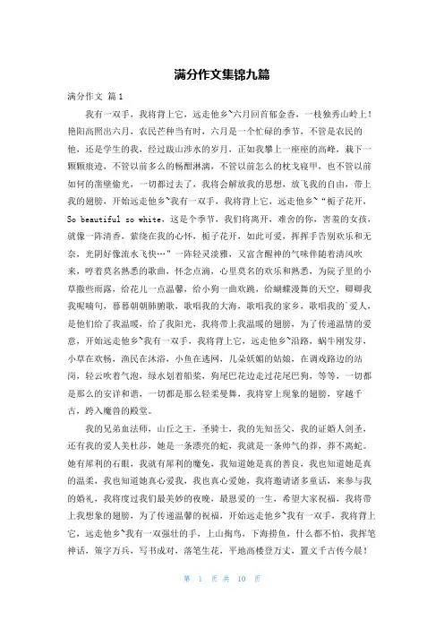 满分作文集锦九篇