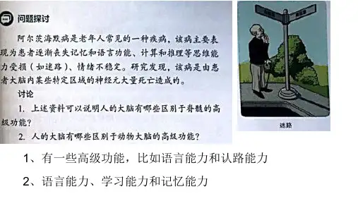 新教材人脑的高级功能精美课件人教版1