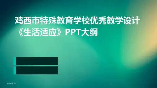 鸡西市特殊教育学校优秀教学设计《生活适应》PPT大纲-2024鲜版