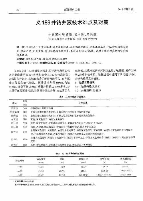 义189井钻井液技术难点及对策