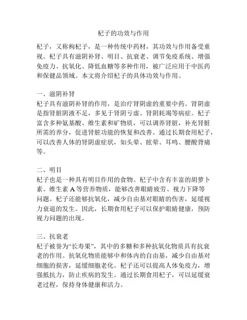杞子的功效与作用
