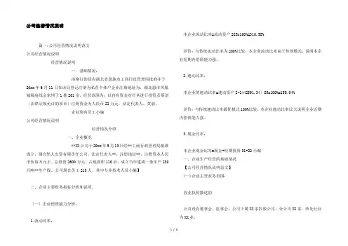 公司经营情况说明