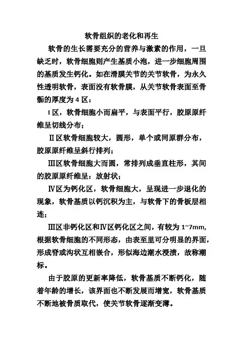 软骨组织的老化和再生