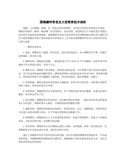 国槐播种育苗及大苗培育技术浅析