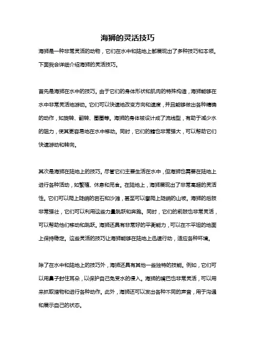 海狮的灵活技巧