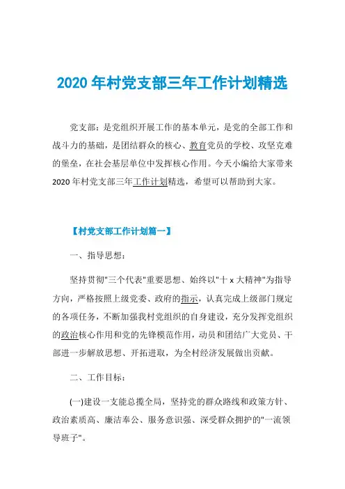 2020年村党支部三年工作计划精选
