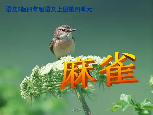 S版小学四年级语文上册《麻雀》课件1(优课教资)
