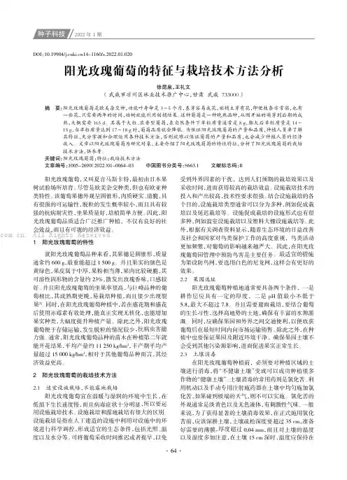 阳光玫瑰葡萄的特征与栽培技术方法分析