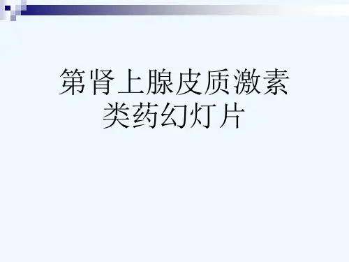 第肾上腺皮质激素类药幻灯片