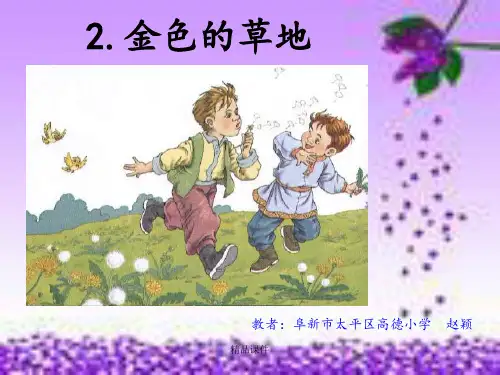 2 《金色的草地》ppt课件5