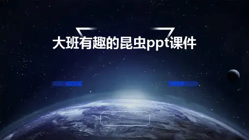 大班有趣的昆虫ppt课件