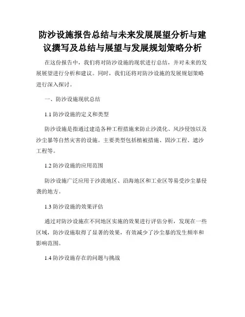 防沙设施报告总结与未来发展展望分析与建议撰写及总结与展望与发展规划策略分析
