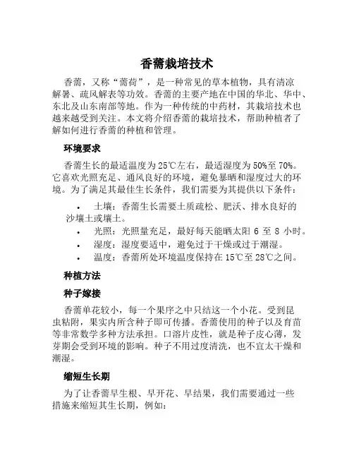 香薷栽培技术