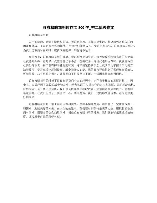 总有柳暗花明时作文800字_初二优秀作文