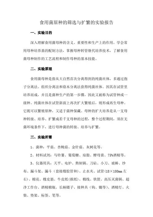 食用菌原种的筛选与扩繁的实验报告